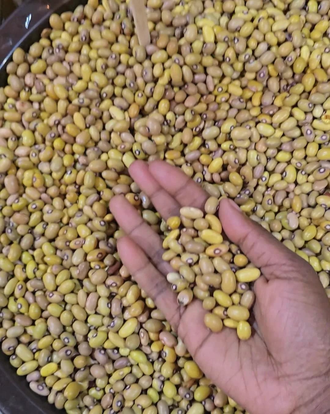 Yellow Beans Moyale